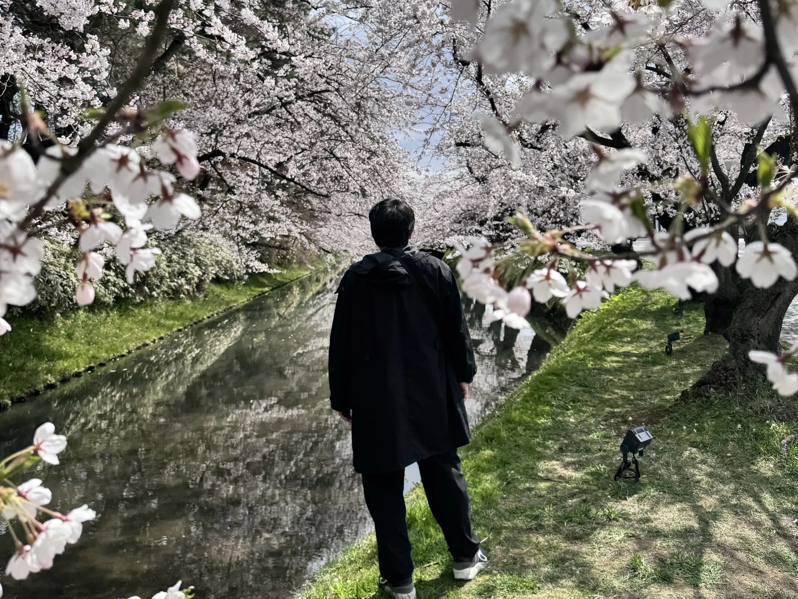 오다이바 해변공원 여행 사진 1