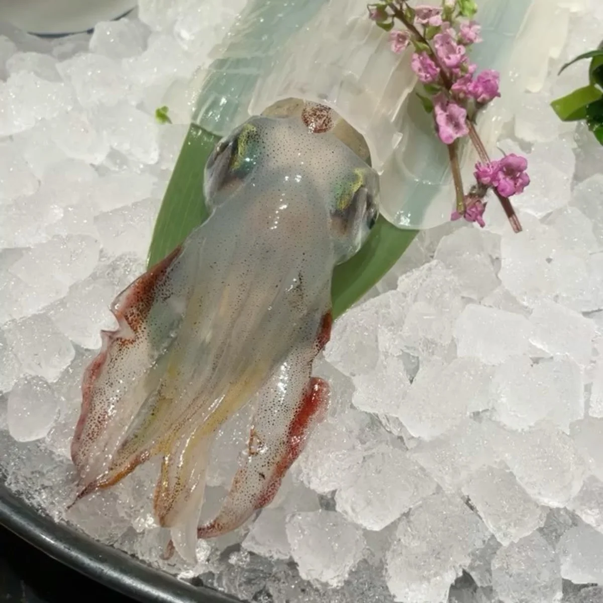 Hakata Motsu Nabe Maedaya Sohonten 62번 사진