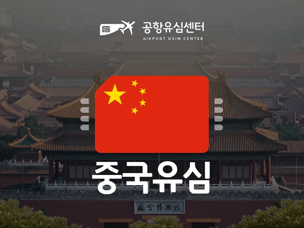 상하이 여행을 준비하며 이동 동선을 확인하는 장면