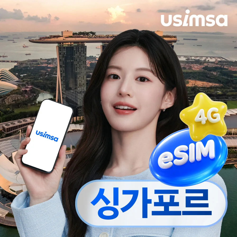 싱가포르 여행을 마치고 다음 동선을 정리하는 장면
