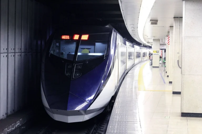 일본 입국 준비 | 비짓재팬웹 계정·여권·세관신고 작성 방법