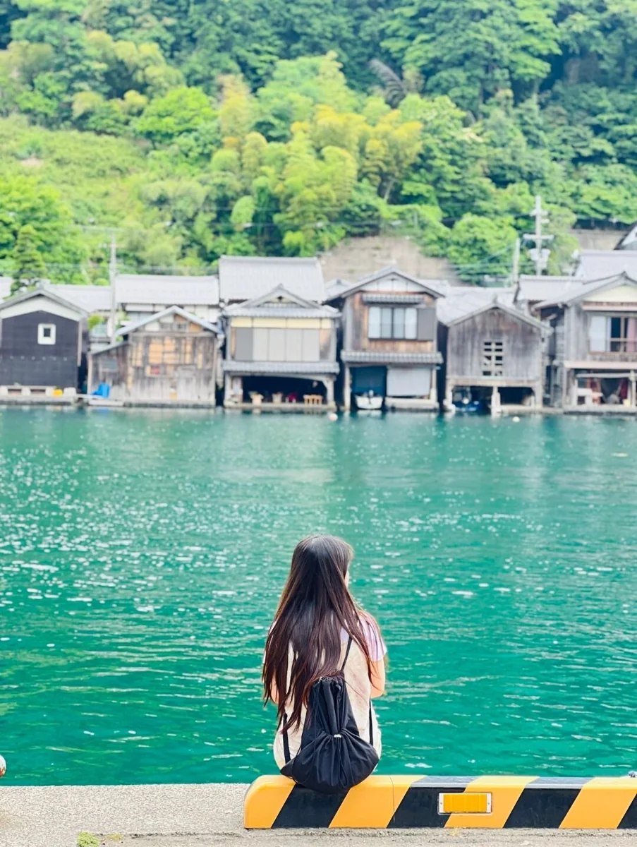오사카 자유여행 일정 여행에서 교토와 유니버셜를 비교하는 장면