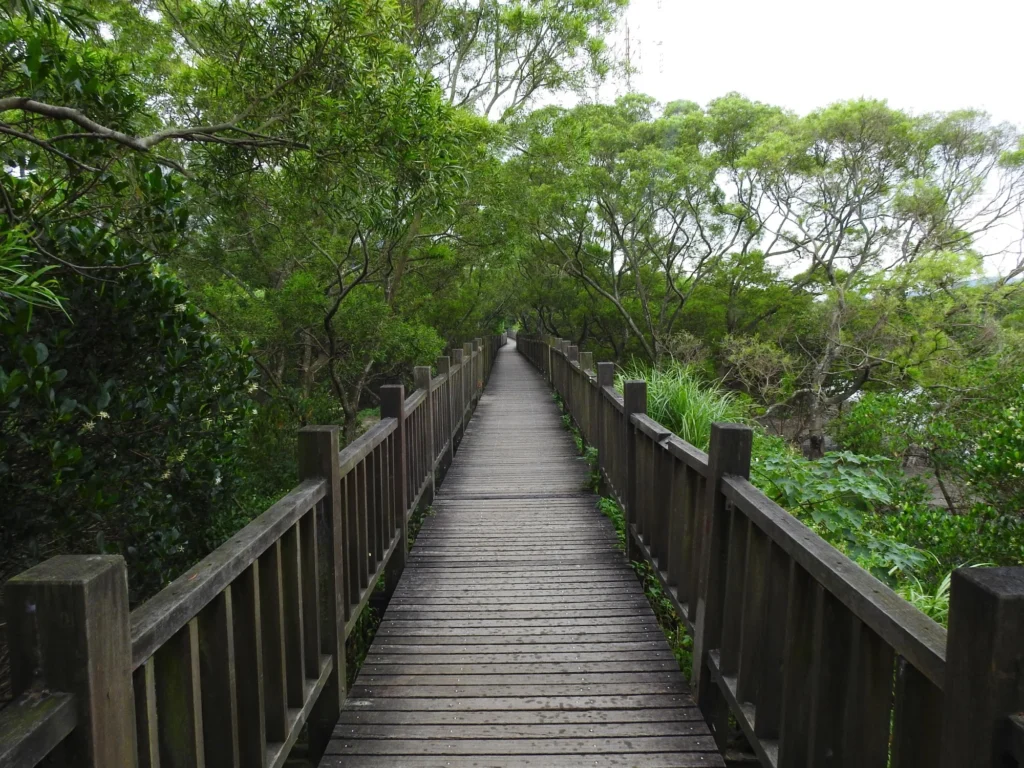 紅樹林生態教育館 어디에 있나요? 예약 전망 확인하기