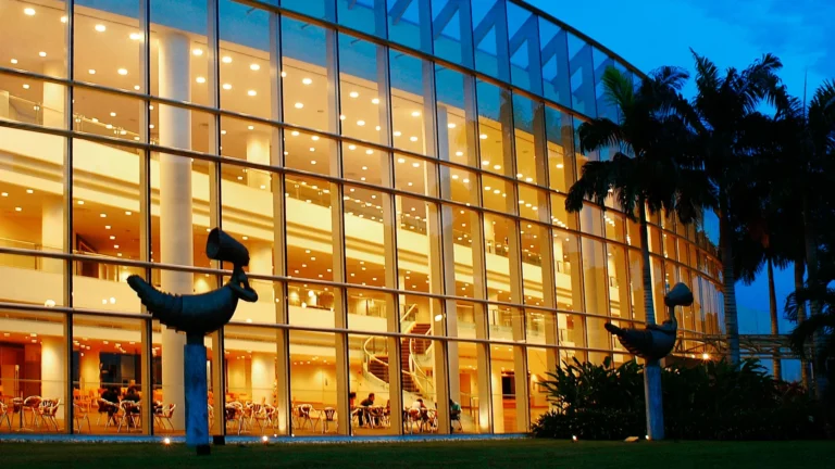 ‘싱가포르 NUS University Museum, Singapore 어디에 있나요? 싱가포르 방문 전 확인할 점 확인하기’, 여행 준비 방문 정보