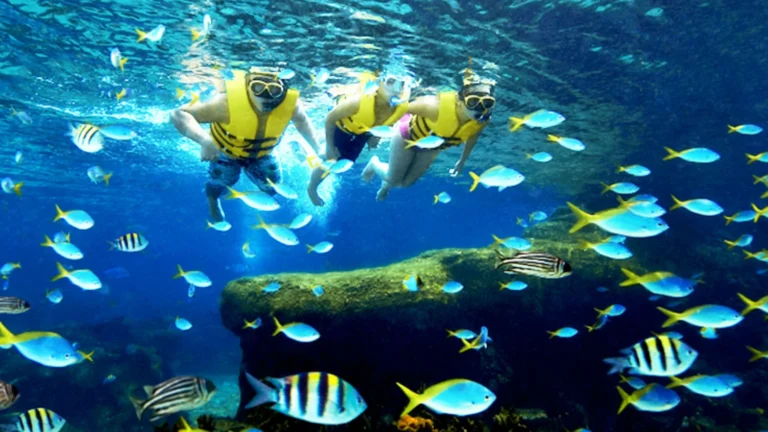 ‘싱가포르 Adventure Cove Waterparkâ„¢ Singapore 가기 전 확인할 점, 싱가포르과 방문 전 확인할 점’, 여행 준비 방문 정보