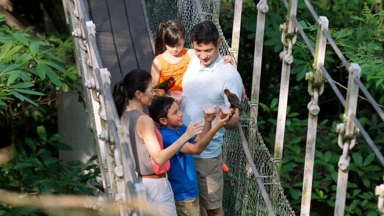 ‘싱가포르 Jurong Bird Park, Singapore: Attractions & Things to Do 가기 전 확인할 점, 싱가포르과 방문 전 확인할 점’, 여행 준비 방문 정보